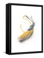 Goldenrod-Jaime Derringer-Framed Stretched Canvas