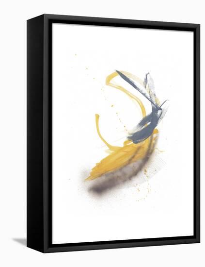 Goldenrod-Jaime Derringer-Framed Stretched Canvas