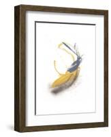 Goldenrod-Jaime Derringer-Framed Giclee Print