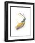 Goldenrod-Jaime Derringer-Framed Giclee Print