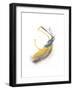 Goldenrod-Jaime Derringer-Framed Giclee Print