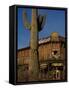 Goldfield Ghost Town, Apache Junction, Arizona, USA-null-Framed Stretched Canvas