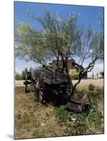 Goldfield Ghost Town, Apache Junction, Arizona, USA-null-Mounted Photographic Print