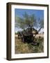 Goldfield Ghost Town, Apache Junction, Arizona, USA-null-Framed Photographic Print