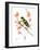 Goldfinch 3-Suren Nersisyan-Framed Art Print