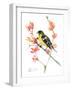 Goldfinch 3-Suren Nersisyan-Framed Art Print