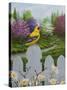 Goldfinch and Daisies-Robert Wavra-Stretched Canvas