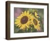 Goldfinch and Sunflowers-William Vanderdasson-Framed Giclee Print