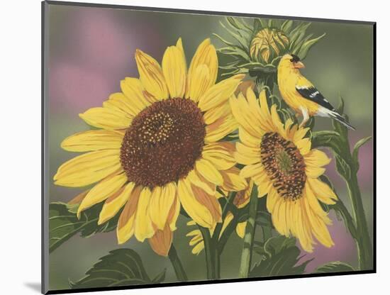 Goldfinch and Sunflowers-William Vanderdasson-Mounted Giclee Print