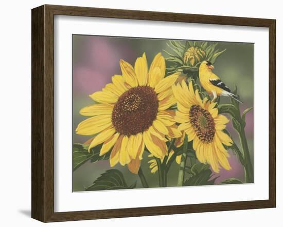 Goldfinch and Sunflowers-William Vanderdasson-Framed Giclee Print