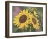 Goldfinch and Sunflowers-William Vanderdasson-Framed Giclee Print