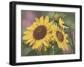 Goldfinch and Sunflowers-William Vanderdasson-Framed Giclee Print