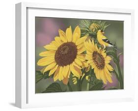 Goldfinch and Sunflowers-William Vanderdasson-Framed Giclee Print