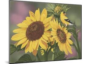 Goldfinch and Sunflowers-William Vanderdasson-Mounted Giclee Print