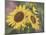 Goldfinch and Sunflowers-William Vanderdasson-Mounted Giclee Print