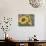 Goldfinch and Sunflowers-William Vanderdasson-Giclee Print displayed on a wall