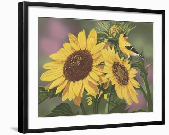 Goldfinch and Sunflowers-William Vanderdasson-Framed Giclee Print