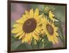 Goldfinch and Sunflowers-William Vanderdasson-Framed Giclee Print