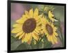 Goldfinch and Sunflowers-William Vanderdasson-Framed Giclee Print