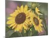 Goldfinch and Sunflowers-William Vanderdasson-Mounted Giclee Print