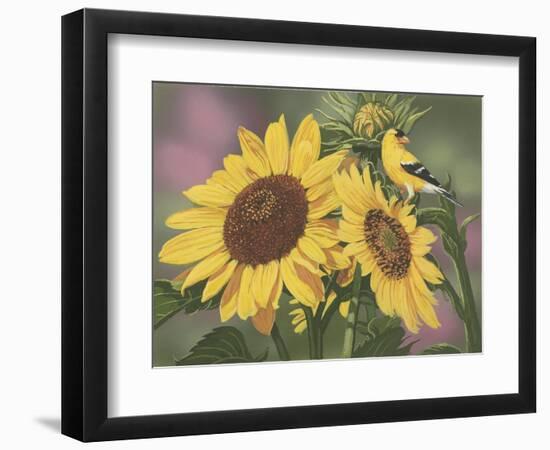 Goldfinch and Sunflowers-William Vanderdasson-Framed Premium Giclee Print