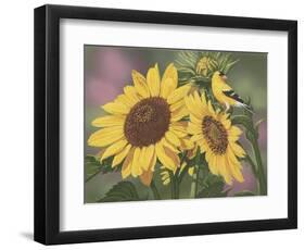 Goldfinch and Sunflowers-William Vanderdasson-Framed Premium Giclee Print