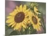 Goldfinch and Sunflowers-William Vanderdasson-Mounted Premium Giclee Print