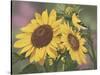 Goldfinch and Sunflowers-William Vanderdasson-Stretched Canvas