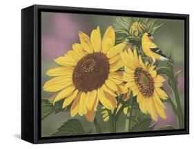 Goldfinch and Sunflowers-William Vanderdasson-Framed Stretched Canvas