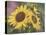 Goldfinch and Sunflowers-William Vanderdasson-Stretched Canvas