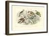 Goldfinch, Buntings & Wrens-J. Stewart-Framed Art Print