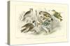 Goldfinch, Buntings & Wrens-J. Stewart-Stretched Canvas