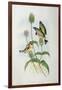 Goldfinch (Carduelis Elegans)-John Gould and H.C. Richter-Framed Giclee Print