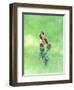 Goldfinch II, 2021 (w/c)-Helen White-Framed Giclee Print