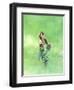 Goldfinch II, 2021 (w/c)-Helen White-Framed Giclee Print