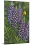 Goldfinch Lupine-Jeffrey Hoff-Mounted Giclee Print