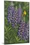 Goldfinch Lupine-Jeffrey Hoff-Mounted Giclee Print