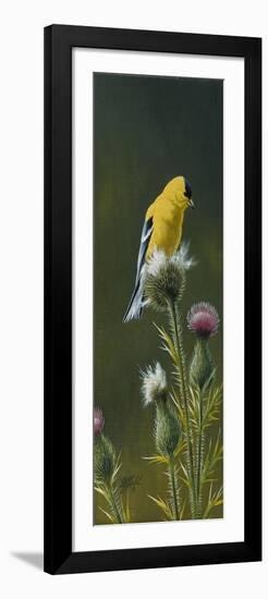 Goldfinch on Thistle-Wilhelm Goebel-Framed Giclee Print