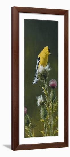 Goldfinch on Thistle-Wilhelm Goebel-Framed Giclee Print