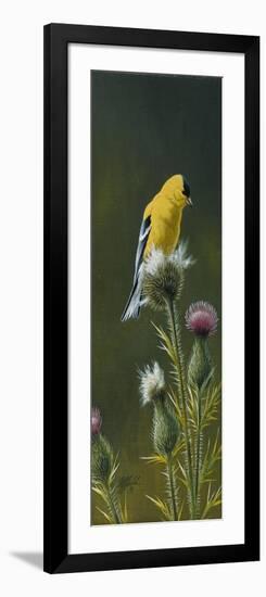 Goldfinch on Thistle-Wilhelm Goebel-Framed Giclee Print