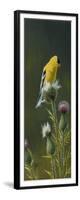 Goldfinch on Thistle-Wilhelm Goebel-Framed Giclee Print