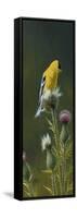 Goldfinch on Thistle-Wilhelm Goebel-Framed Stretched Canvas