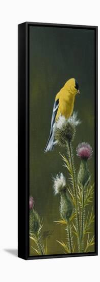 Goldfinch on Thistle-Wilhelm Goebel-Framed Stretched Canvas