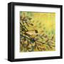 Goldfinch Resting-Jennifer Lommers-Framed Art Print