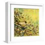 Goldfinch Resting-Jennifer Lommers-Framed Art Print