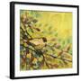 Goldfinch Resting-Jennifer Lommers-Framed Art Print