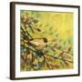 Goldfinch Resting-Jennifer Lommers-Framed Art Print