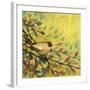 Goldfinch Resting-Jennifer Lommers-Framed Art Print