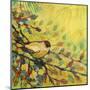 Goldfinch Resting-Jennifer Lommers-Mounted Giclee Print