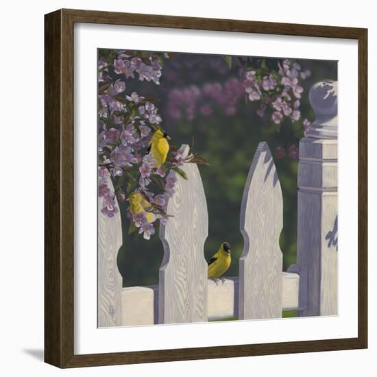 Goldfinch Trio-Jeffrey Hoff-Framed Giclee Print